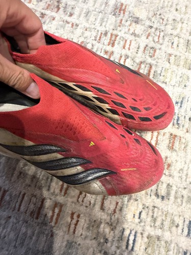 Adidas predator elite - elite, boys